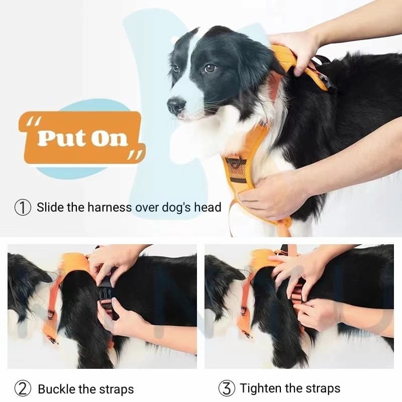π₯Dog Harness and Retractable Leash Set All-in-One