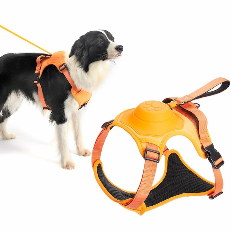 π₯Dog Harness and Retractable Leash Set All-in-One