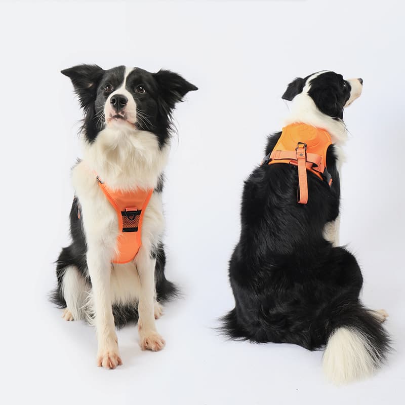 π₯Dog Harness and Retractable Leash Set All-in-One
