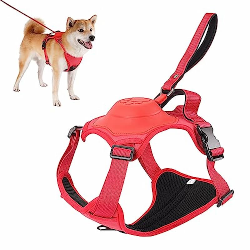 π₯Dog Harness and Retractable Leash Set All-in-One