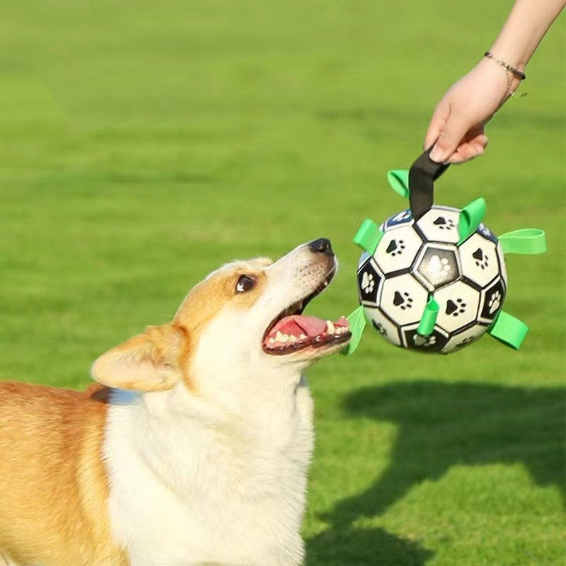 Pet Soccer Ball Toy