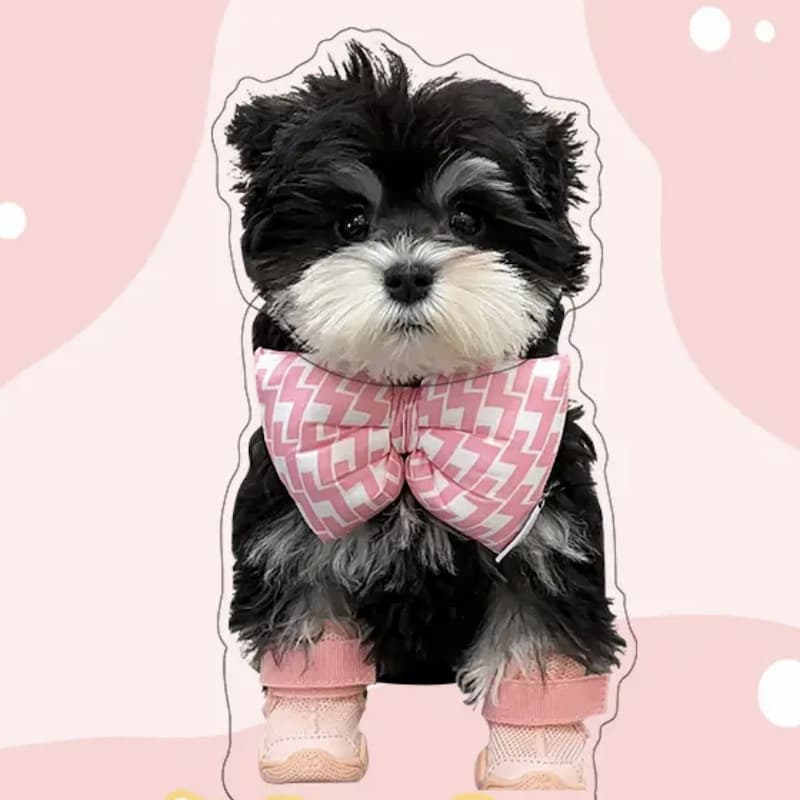 Custom Pet Head Shaking Toy