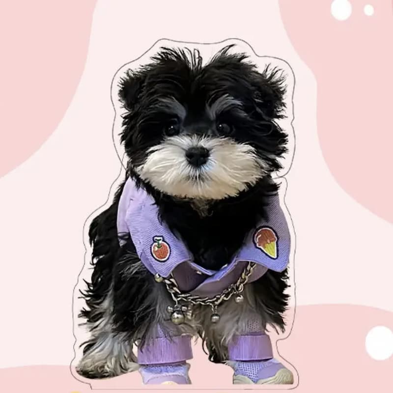Custom Pet Head Shaking Toy