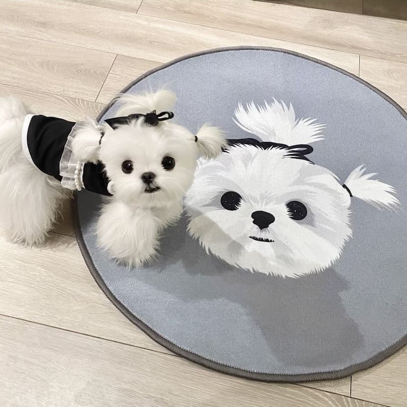 Custom Pet Rounded Rug