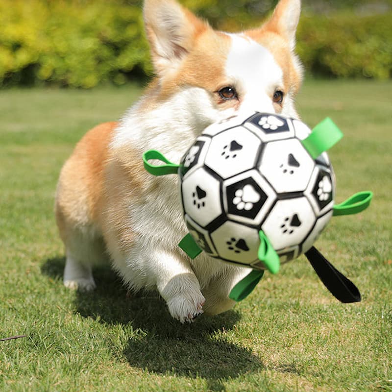 Pet Soccer Ball Toy