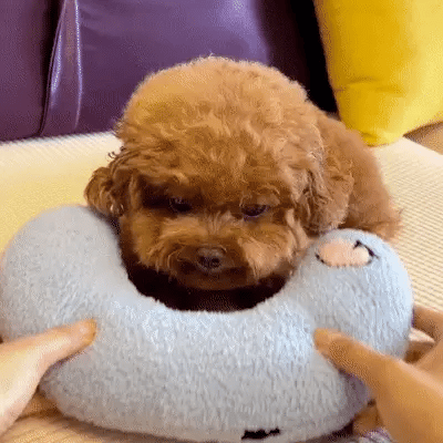 π₯2389 Sold Last 24 Hours - U-Calming Pet Pillow