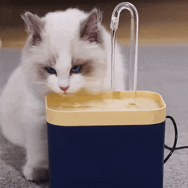 Cat Water Fountain💦Safe Material for the Cleanest Water
