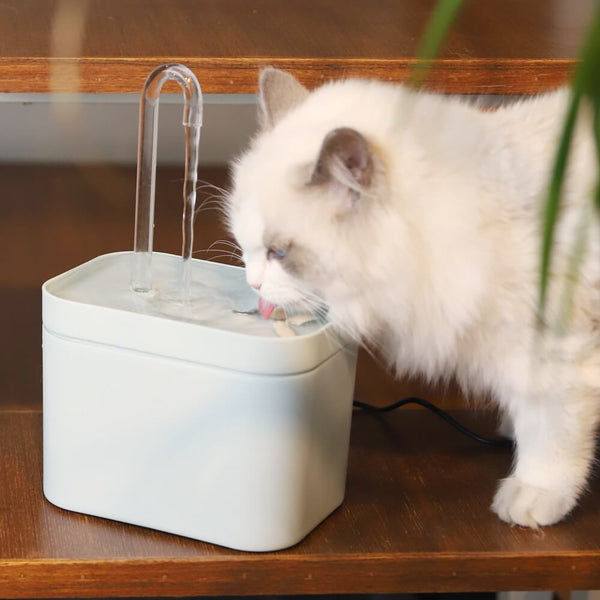 Cat Water Fountain💦Safe Material for the Cleanest Water
