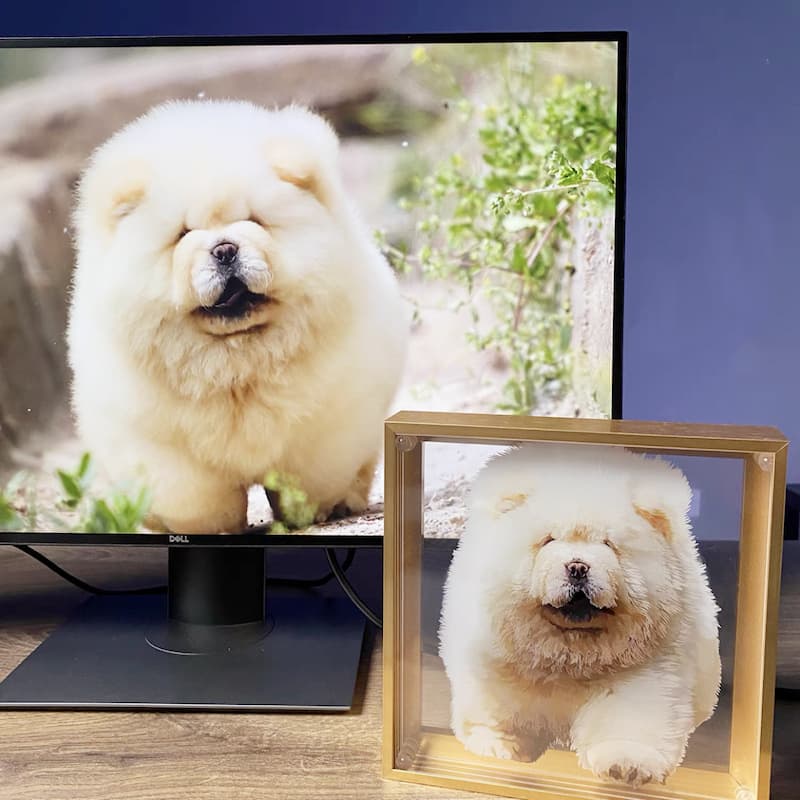 Hand Painted - Custom Pets 3D Portraits