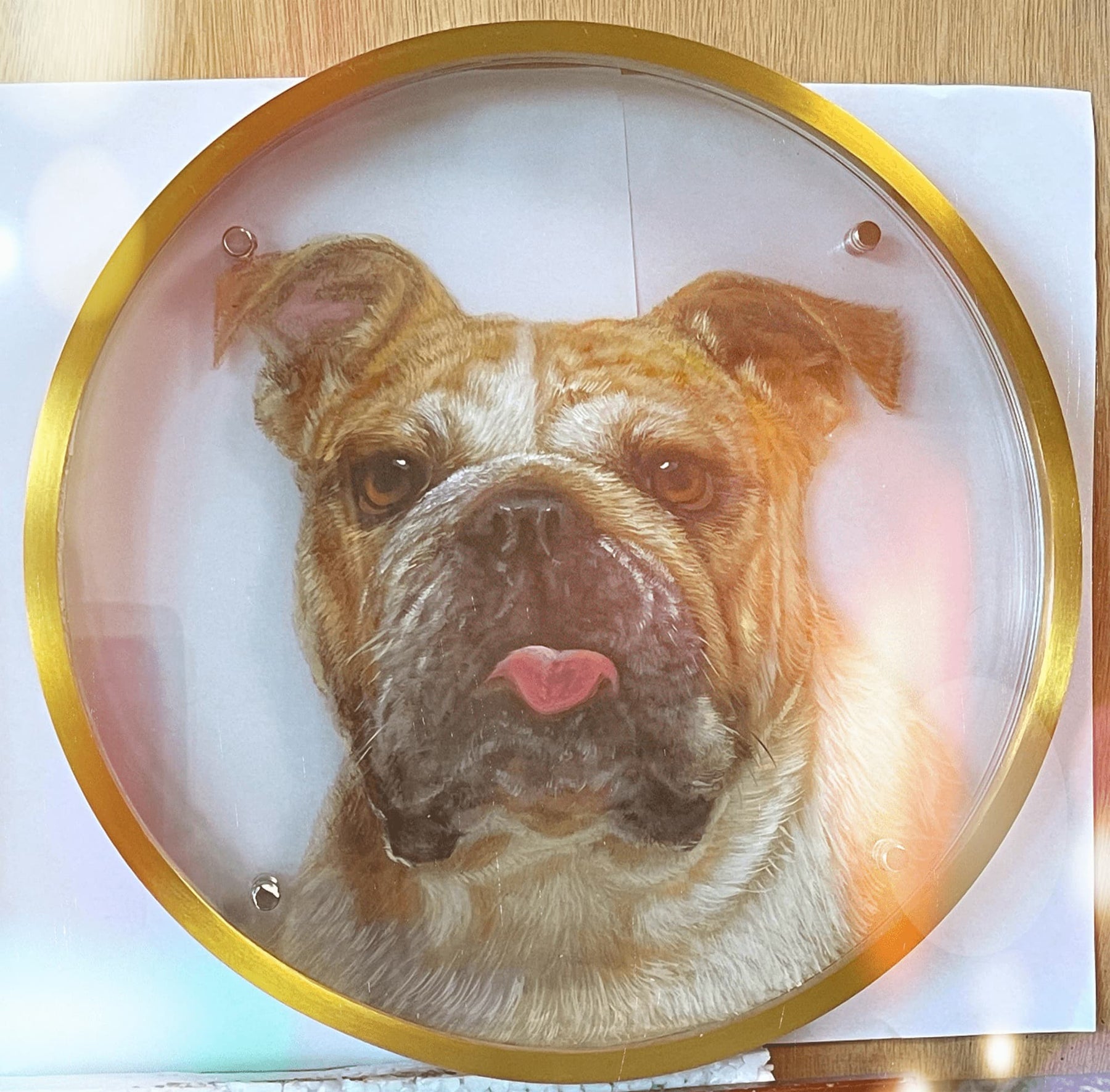 Hand Painted - Custom Pets 3D Portraits