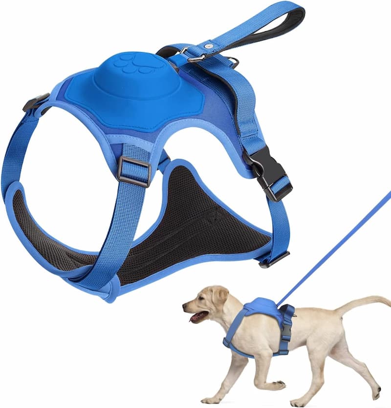 🔥Dog Harness and Retractable Leash Set All-in-One