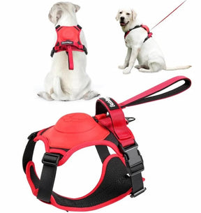 🔥Dog Harness and Retractable Leash Set All-in-One