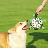 Pet  Soccer Ball Toy