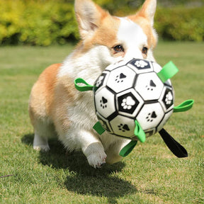 Pet  Soccer Ball Toy