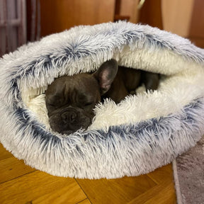 🔥49% SALE🔥 Premium Long Plush Pet Bed